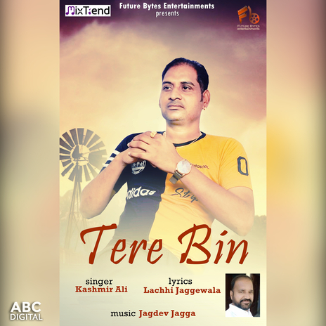 Tere Bin | Boomplay Music