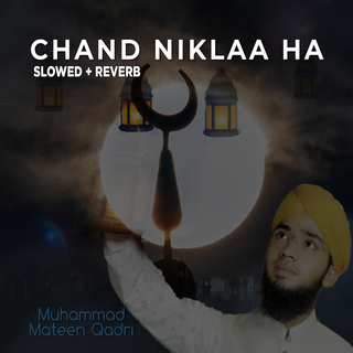 Chand Niklaa Ha (Lofi-Mix)