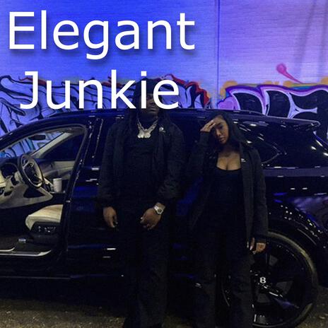 Elegant Junkie | Boomplay Music