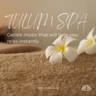 Tulum SPA (Gentle Music That Will Help You Relax Instantly)