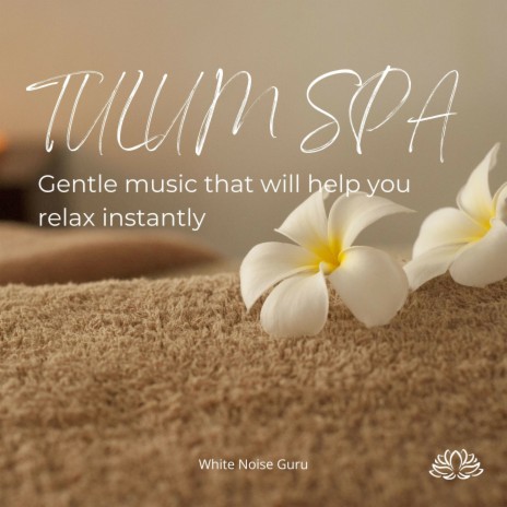 Calming Music for Relaxation | Boomplay Music