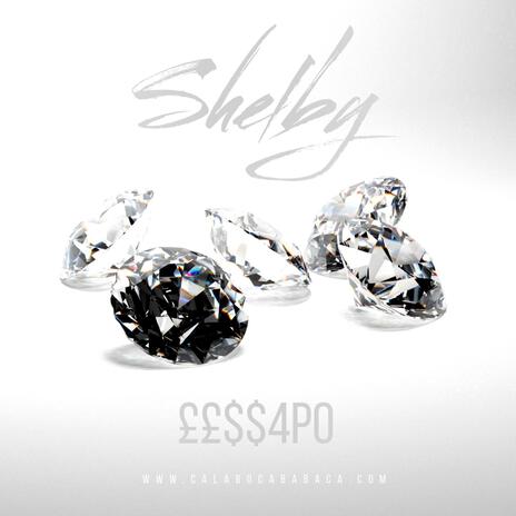 Shelby | Boomplay Music