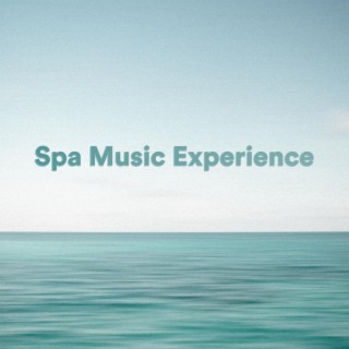 Spa Music Experience