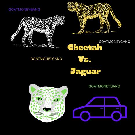 Cheetah Vs. Jaguar