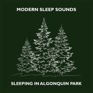 Sleeping in Algonquin Park