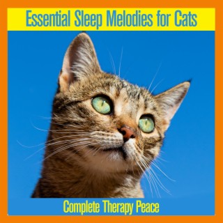 Essential Sleep Melodies for Cats: Complete Therapy Peace