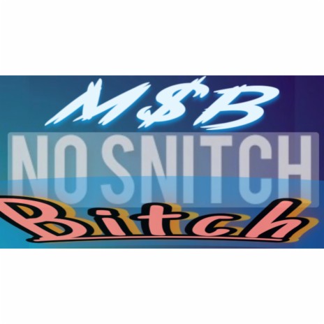 No Snitch Bitch