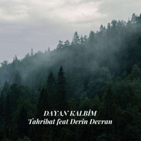 Dayan Kalbim ft. Derin Devran | Boomplay Music