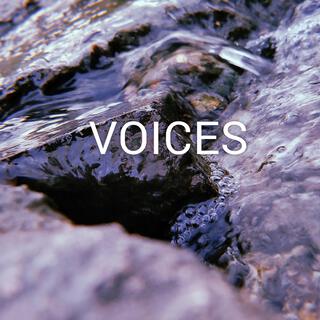 Voices