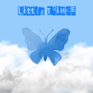 Little Things (Radio Edit)