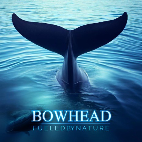 BOWHEAD | Boomplay Music
