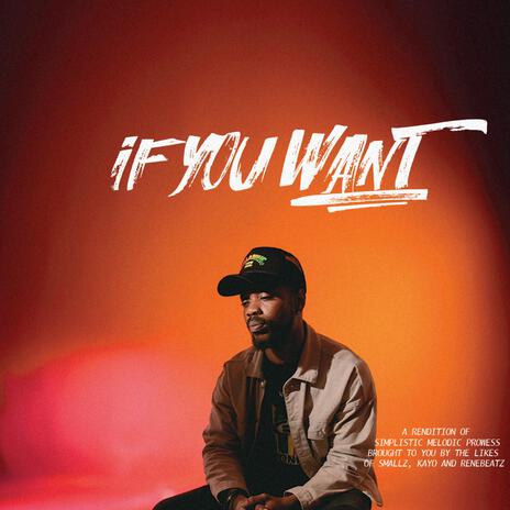 If You Want ft. Kayo | Boomplay Music