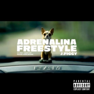 ADRENALINA FREESTYLE lyrics | Boomplay Music