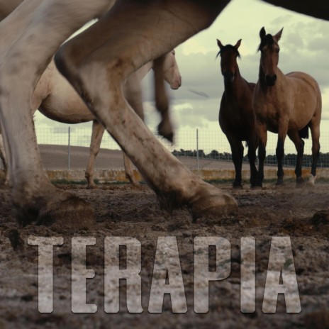 TERAPIA | Boomplay Music