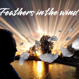 Feathers in the wind