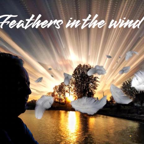 Feathers in the wind | Boomplay Music