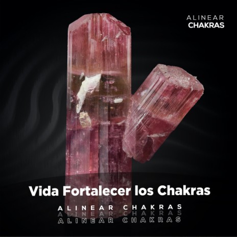 Vida Fortalecer los Chakras | Boomplay Music