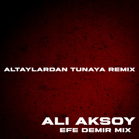 Altaylardan Tunaya (Efe Demir Mix Remix) ft. Efe Demir Mix | Boomplay Music