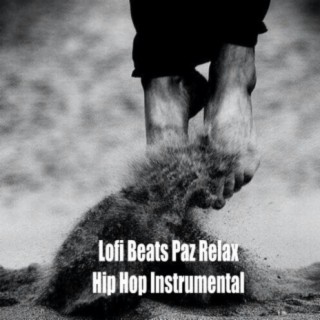 Lofi Beats Paz Relax Hip Hop Instrumental