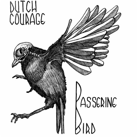 Passerine Bird | Boomplay Music