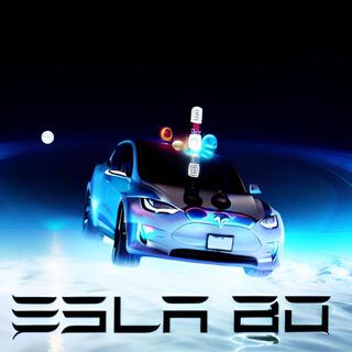 TESLABOY MODEL X