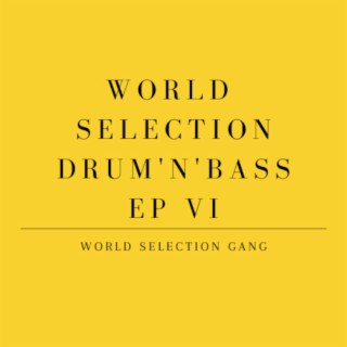 World Selection Drum'n'Bass EP VI