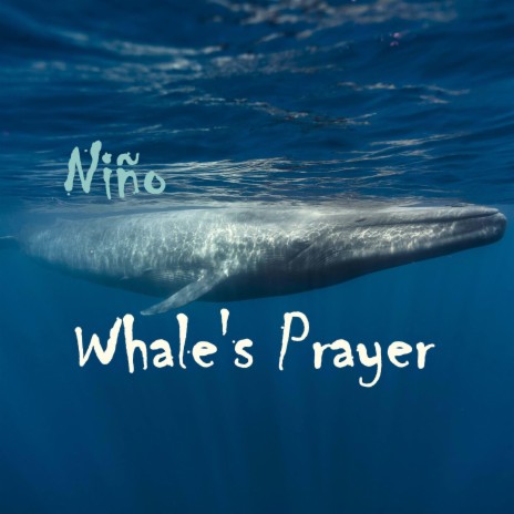 Whale's Prayer | Boomplay Music