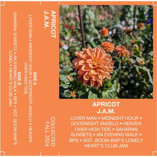 Apricot