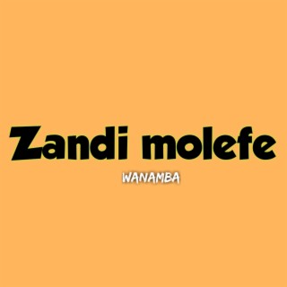 Zandi molefe