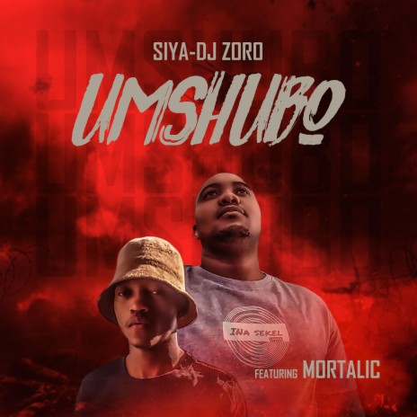 Umshubo (feat. Mortalic) | Boomplay Music