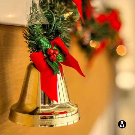 Hear the bells ringing | Boomplay Music