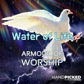 ARMOUR OF WORSHIP