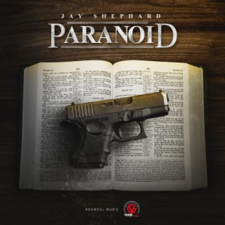 Paranoid lyrics | Boomplay Music