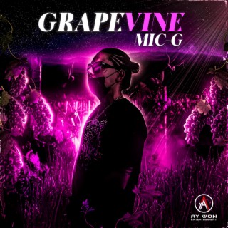 Grapevine lyrics | Boomplay Music