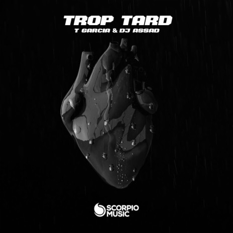 Trop Tard ft. DJ Assad | Boomplay Music