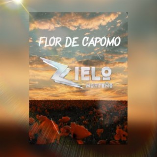 FLOR DE CAPOMO