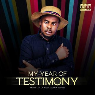 My Year Of Testimony