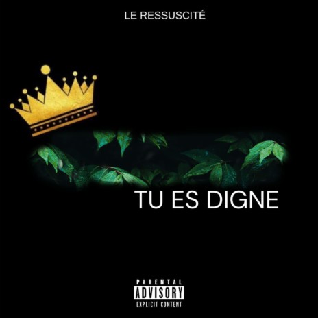 TU ES DIGNE | Boomplay Music