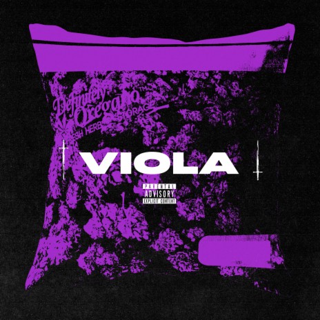 Viola | Boomplay Music