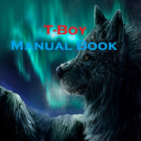 Manual Book | Boomplay Music