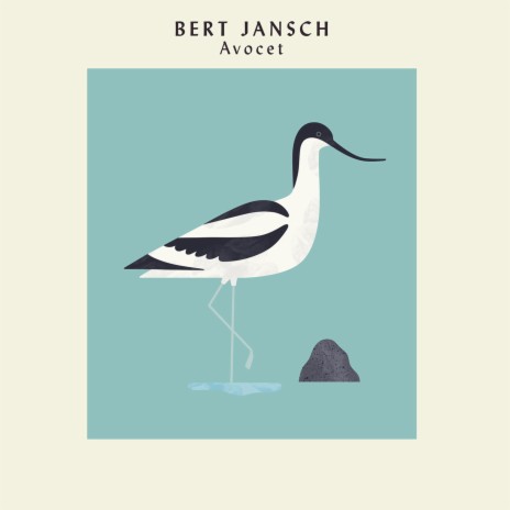 Avocet ft. Martin Jenkins | Boomplay Music