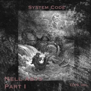 System Code