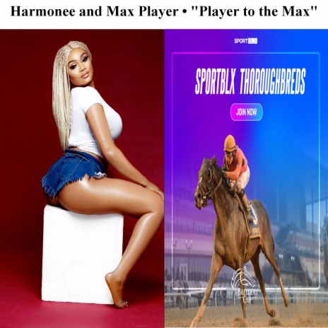 Player to the Max | Boomplay Music