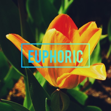 Euphoric | Boomplay Music