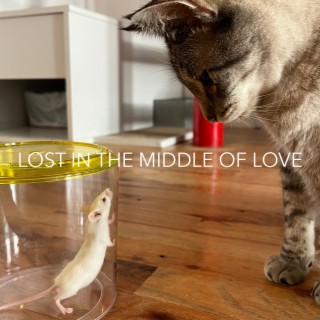 Lost in the Middle of Love