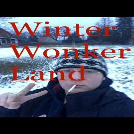 WinterWonkerLand | Boomplay Music