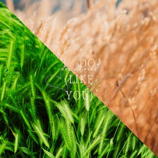 I Do (Like You) lyrics | Boomplay Music