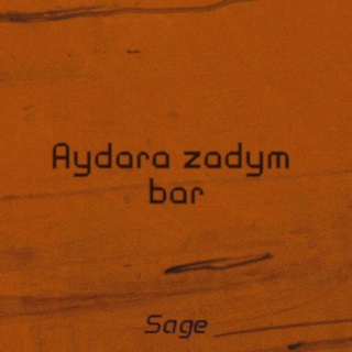 Aydara Zadym Bar