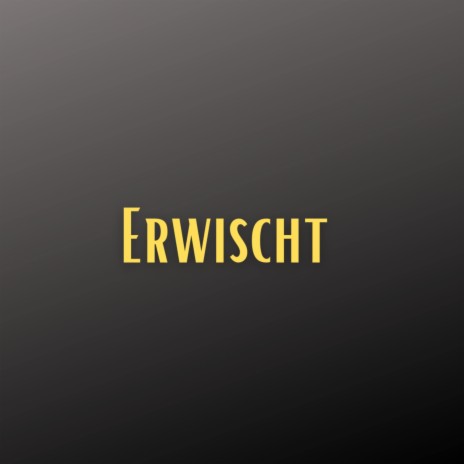 Erwischt (Pastiche/Remix/Mashup) | Boomplay Music