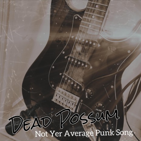 Not Yer Average Punk Song ft. Da Possum AssMasterz